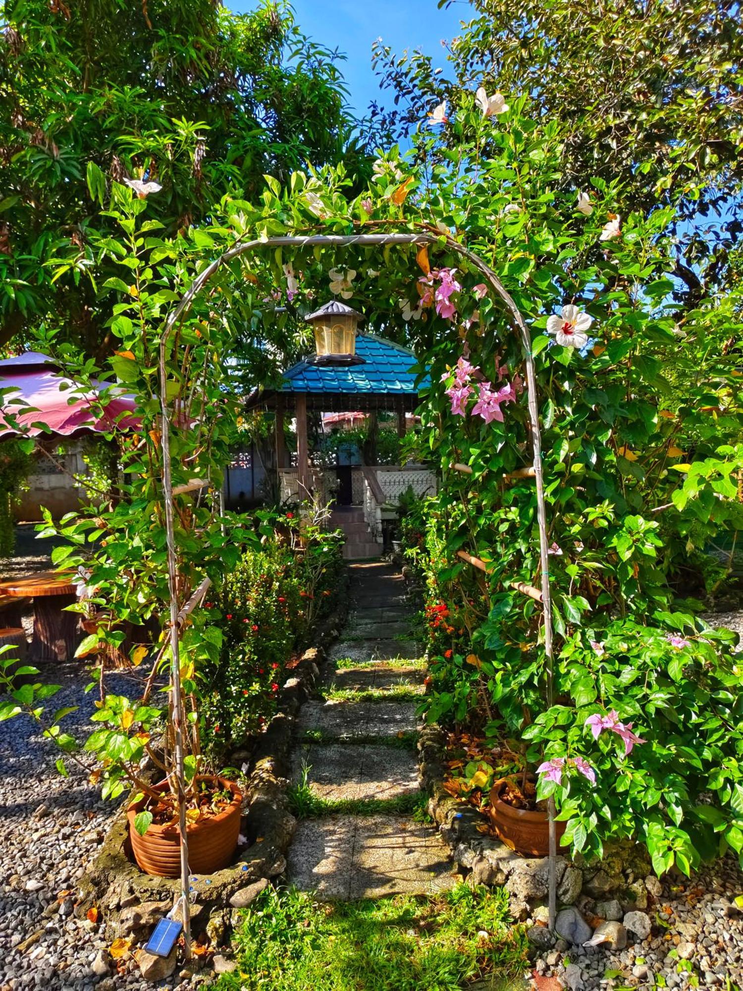 אלמינוס Monte Rio Gardens Bed & Breakfast מראה חיצוני תמונה