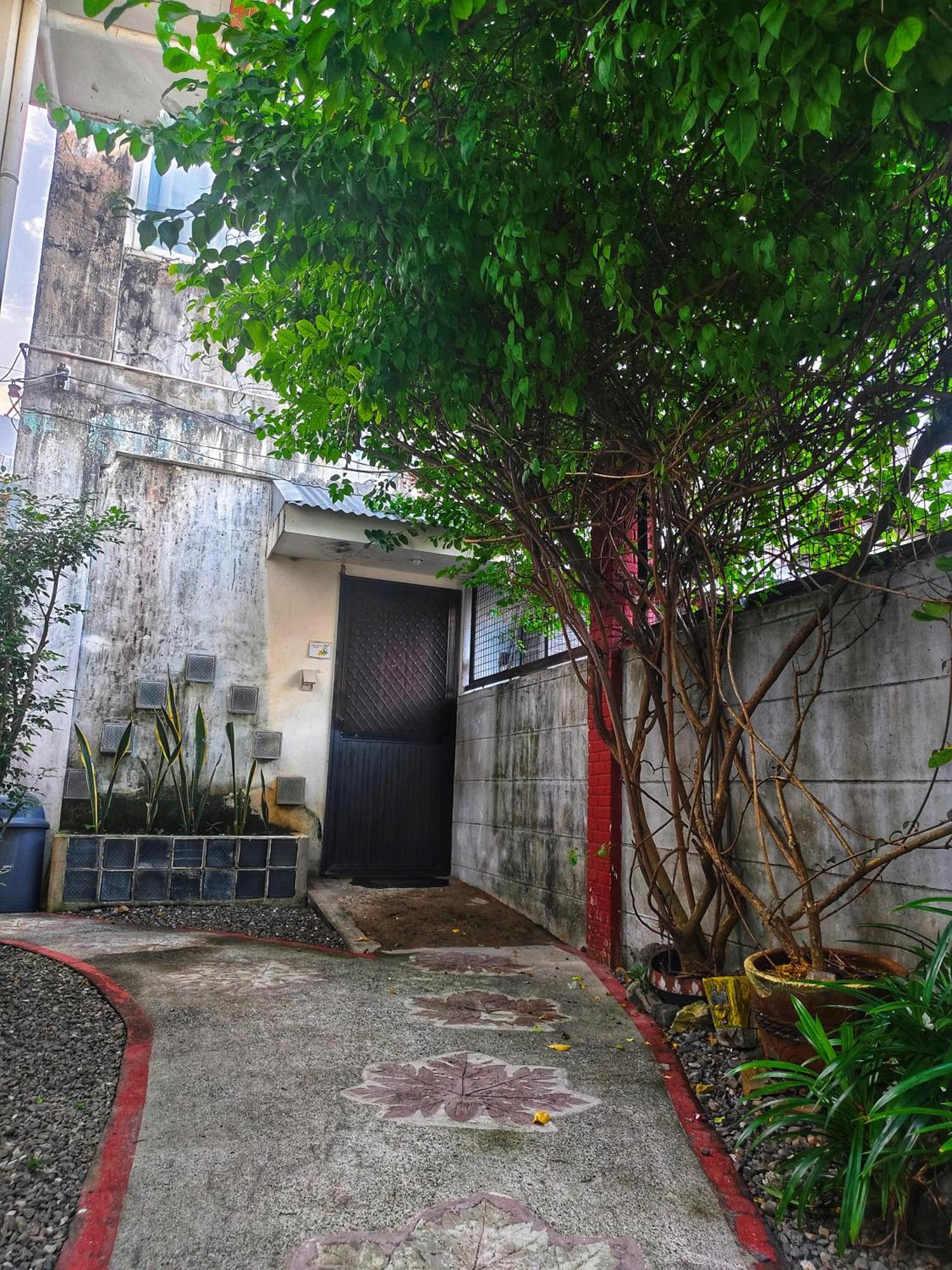 אלמינוס Monte Rio Gardens Bed & Breakfast מראה חיצוני תמונה